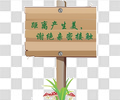 爱护花草