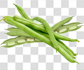 豆角