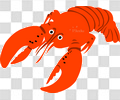 龙虾