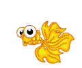 金鱼